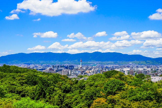 京田辺市高船野田農のメイン画像