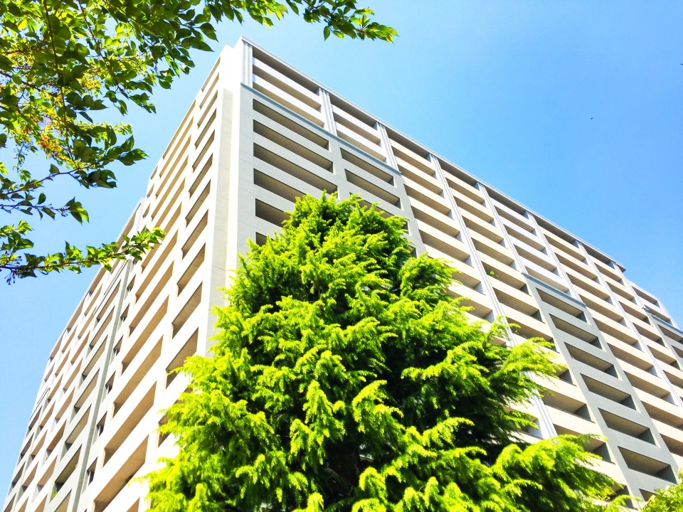 木津川市城山台十三丁目における中古一戸建て売却時の買取と仲介の基礎知識